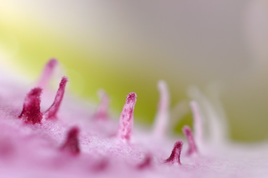 Meeting of the Minds