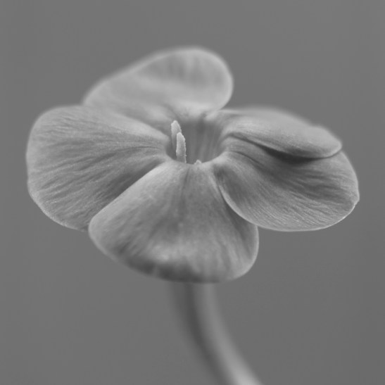 Welcome to this World