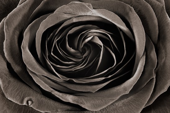 Face Without a Name / Seat Without a Table