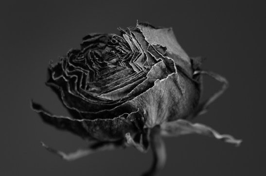 Having Seen the Unseen